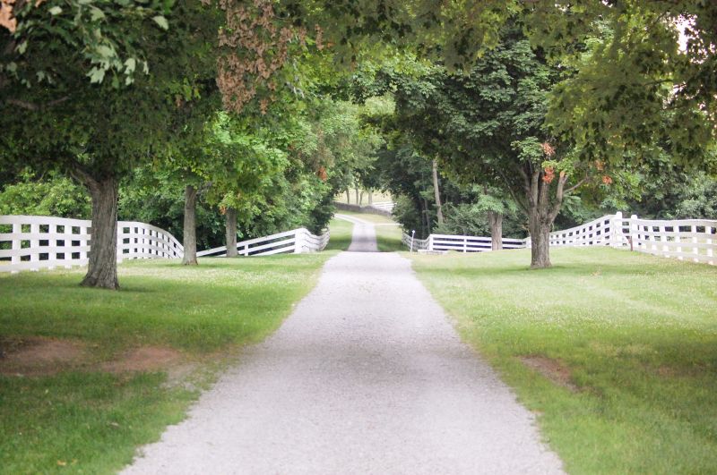 Driveway Sawing detail